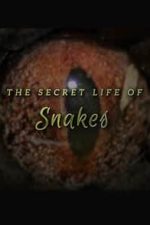 The Secret Life of Snakes (2016)