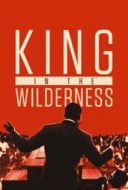 Layarkaca21 LK21 Dunia21 Nonton Film King in the Wilderness (2018) Subtitle Indonesia Streaming Movie Download