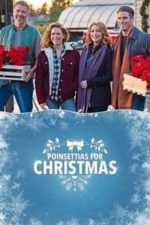 Poinsettias for Christmas (2018)