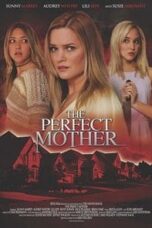 Poster Film The Perfect Mother (2018)