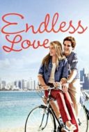 Layarkaca21 LK21 Dunia21 Nonton Film Endless Love (1981) Subtitle Indonesia Streaming Movie Download