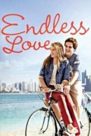 Layarkaca21 LK21 Dunia21 Nonton Film Endless Love (1981) Subtitle Indonesia Streaming Movie Download