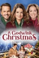 Layarkaca21 LK21 Dunia21 Nonton Film A Godwink Christmas (2018) Subtitle Indonesia Streaming Movie Download