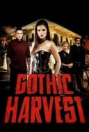 Layarkaca21 LK21 Dunia21 Nonton Film Gothic Harvest (2018) Subtitle Indonesia Streaming Movie Download