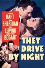 Nonton Film They Drive by Night (1940) Subtitle Indonesia Streaming Movie Download