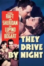 They Drive by Night (1940)