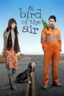 Layarkaca21 LK21 Dunia21 Nonton Film A Bird of the Air (2011) Subtitle Indonesia Streaming Movie Download