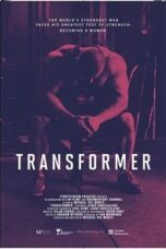 Poster Film Transformer (2017)