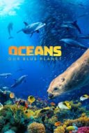 Layarkaca21 LK21 Dunia21 Nonton Film Oceans: Our Blue Planet (2012) Subtitle Indonesia Streaming Movie Download