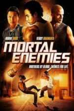 Mortal Enemies (2011)