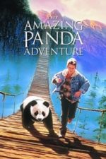 The Amazing Panda Adventure (1995)