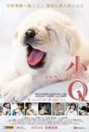 Layarkaca21 LK21 Dunia21 Nonton Film Little Q (2019) Subtitle Indonesia Streaming Movie Download