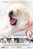 Layarkaca21 LK21 Dunia21 Nonton Film Little Q (2019) Subtitle Indonesia Streaming Movie Download