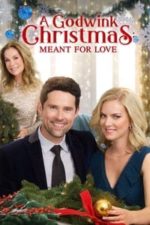 A Godwink Christmas: Meant for Love (2019)