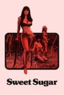 Layarkaca21 LK21 Dunia21 Nonton Film Sweet Sugar (1972) Subtitle Indonesia Streaming Movie Download