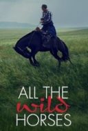 Layarkaca21 LK21 Dunia21 Nonton Film All the Wild Horses (2017) Subtitle Indonesia Streaming Movie Download