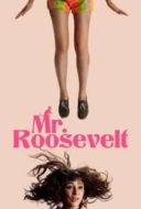 Layarkaca21 LK21 Dunia21 Nonton Film Mr. Roosevelt (2017) Subtitle Indonesia Streaming Movie Download