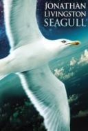 Layarkaca21 LK21 Dunia21 Nonton Film Jonathan Livingston Seagull (1973) Subtitle Indonesia Streaming Movie Download