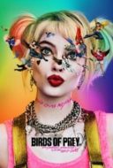 Layarkaca21 LK21 Dunia21 Nonton Film Birds of Prey: And the Fantabulous Emancipation of One Harley Quinn (2020) Subtitle Indonesia Streaming Movie Download