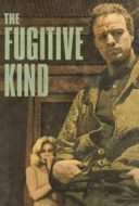 Layarkaca21 LK21 Dunia21 Nonton Film The Fugitive Kind (1960) Subtitle Indonesia Streaming Movie Download