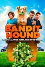 The Bandit Hound (2016)