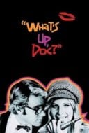 Layarkaca21 LK21 Dunia21 Nonton Film What’s Up, Doc? (1972) Subtitle Indonesia Streaming Movie Download