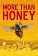 Layarkaca21 LK21 Dunia21 Nonton Film More Than Honey (2012) Subtitle Indonesia Streaming Movie Download