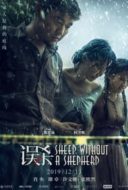 Layarkaca21 LK21 Dunia21 Nonton Film Sheep Without a Shepherd (2019) Subtitle Indonesia Streaming Movie Download