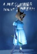 Layarkaca21 LK21 Dunia21 Nonton Film A Midsummer Night’s Dream (2014) Subtitle Indonesia Streaming Movie Download