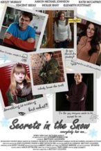 Nonton Film Secrets in the Snow (2012) Subtitle Indonesia Streaming Movie Download