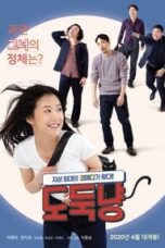 Poster Film A Stray Cat (2020)
