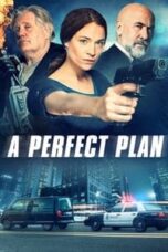 Poster Film A Perfect Plan (2020)