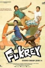 Fukrey (2013)