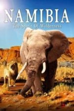 Namibia – The Spirit of Wilderness (2016)