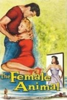 Layarkaca21 LK21 Dunia21 Nonton Film The Female Animal (1958) Subtitle Indonesia Streaming Movie Download