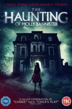 Bannister DollHouse (2019)