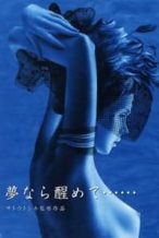 Nonton Film Perfect Blue: Yume Nara Samete (2002) Subtitle Indonesia Streaming Movie Download