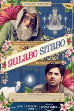 Gulabo Sitabo (2019)