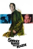 Layarkaca21 LK21 Dunia21 Nonton Film Sweet Bird of Youth (1962) Subtitle Indonesia Streaming Movie Download