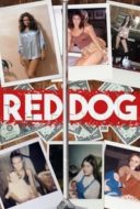 Layarkaca21 LK21 Dunia21 Nonton Film Red Dog (2018) Subtitle Indonesia Streaming Movie Download