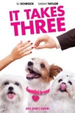 It Takes Three (2019)