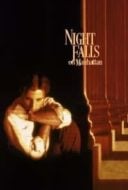 Layarkaca21 LK21 Dunia21 Nonton Film Night Falls on Manhattan (1996) Subtitle Indonesia Streaming Movie Download