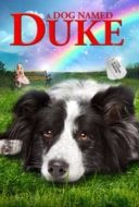 Layarkaca21 LK21 Dunia21 Nonton Film Duke (2012) Subtitle Indonesia Streaming Movie Download