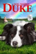 Duke (2012)