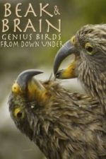 Beak & Brain – Genius Birds from Down Under (2013)