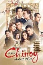 Mano po 7: Chinoy (2016)