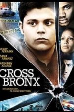 Cross Bronx (2004)