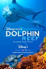 Dolphin Reef (2018)