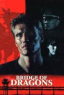 Layarkaca21 LK21 Dunia21 Nonton Film Bridge of Dragons (1999) Subtitle Indonesia Streaming Movie Download