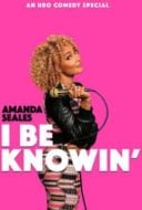 Layarkaca21 LK21 Dunia21 Nonton Film Amanda Seales: I Be Knowin’ (2019) Subtitle Indonesia Streaming Movie Download